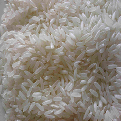 Jaya Rice