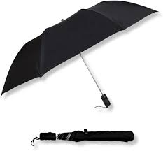 Two Fold Auto Rain Umbrellas