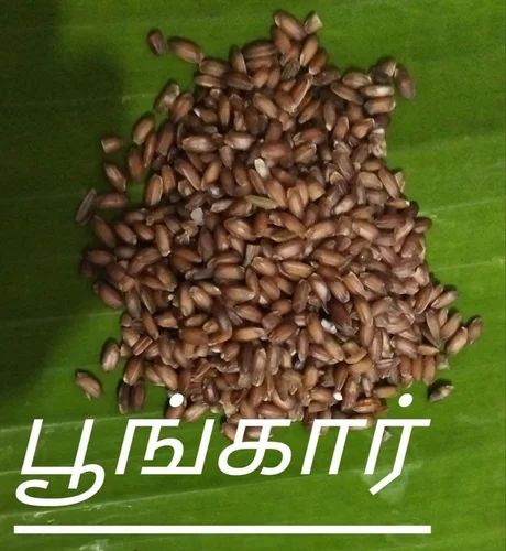 Traditional Poongar Rice Organic