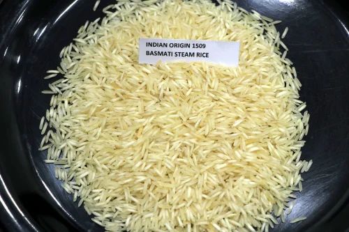 1509 Steam Basmati Rice, 25 Kg