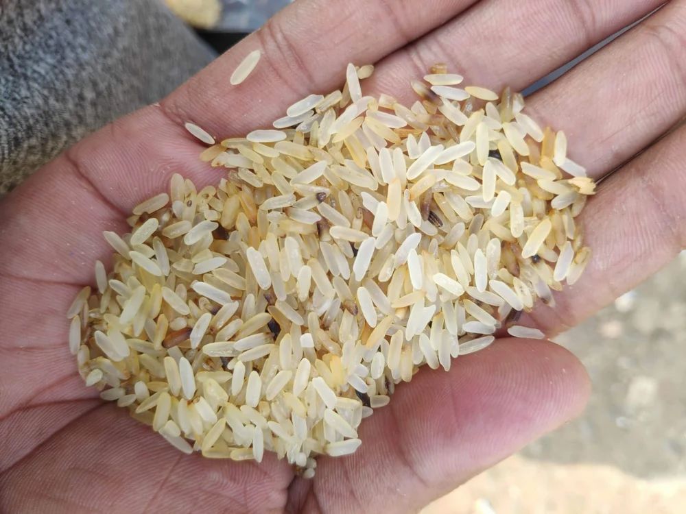 Pusa Rice
