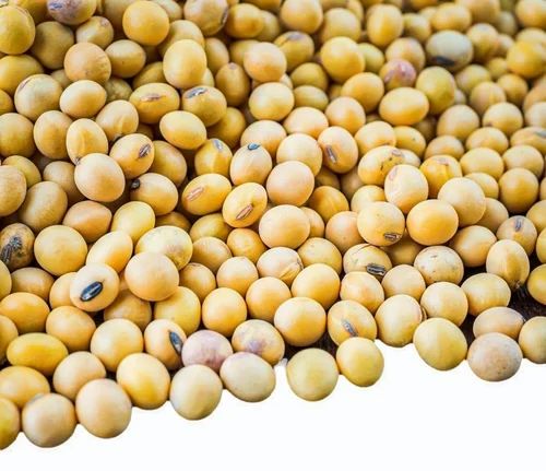 Soybean, Jute Bag, 50 Kg