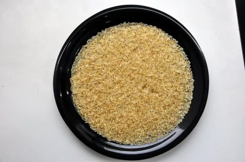 PR 11 Golden Sella Rice