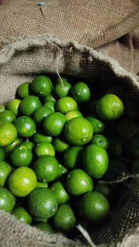 Fresh Green Lemon