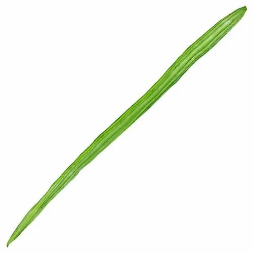 Fresh Organic Drumsticks