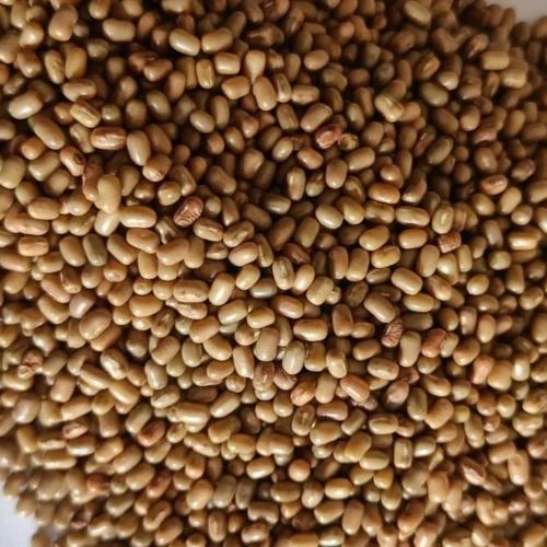 Organic Brown Moth Dal