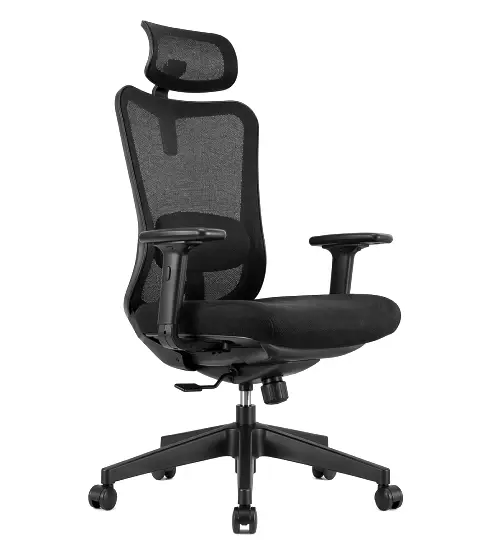 Ergonomic Chair
