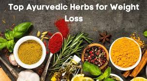 Ayurvedic Weight Loss Powder