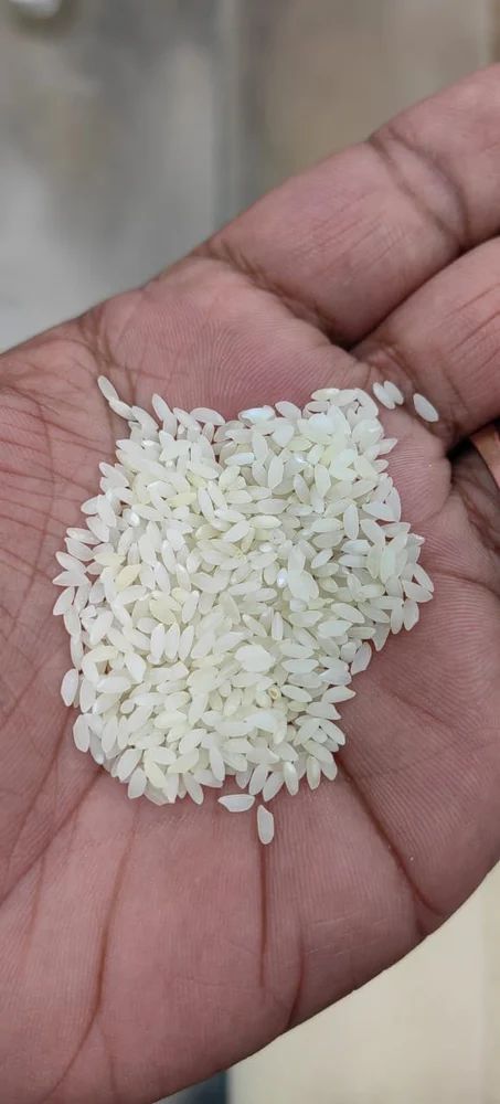 Basmati Jeerakasala Rice, 25 Kg