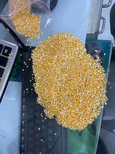 Corn Grits or Makka Tukdi
