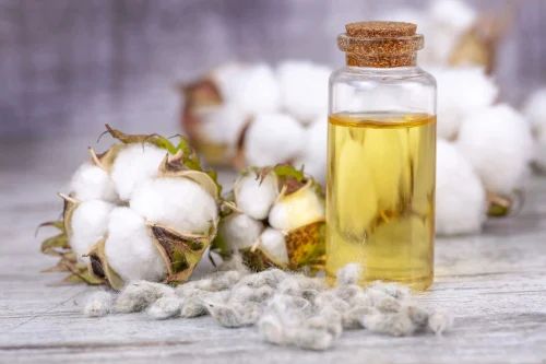 Refined Cotton Seed Oil, Packaging Size: 500 ml