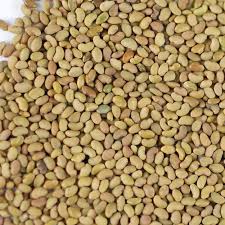 Alfalfa Seeds