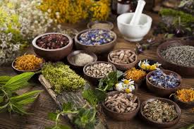 Medicinal Seeds