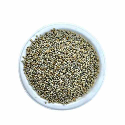 Loose Green Millet Seed