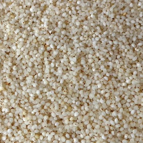 Kuthiraivali Rice