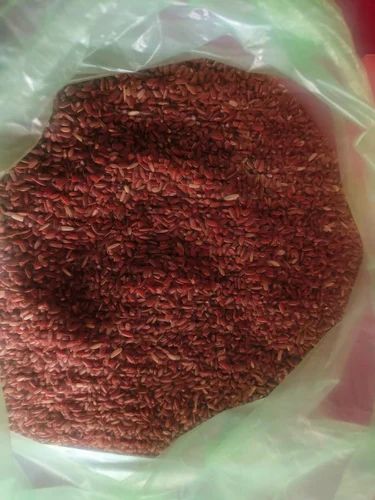 Navara Red Rice, Packaging Type: PP Bag, Packaging Size: 10 Kg