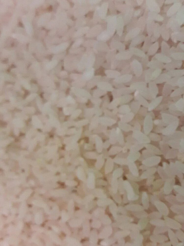 Joha Rice