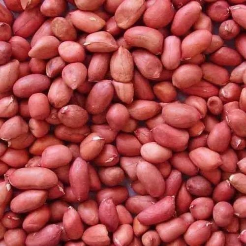 Whole With Skin Red Peanut Kernel