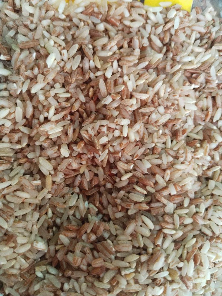 Rajamudi Rice