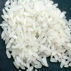 Rice IR8