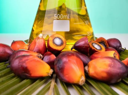 Palm Olein Oil, Packaging Size: 1 L