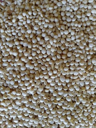 50kg Organic White Sorghum, Conventional, Aa