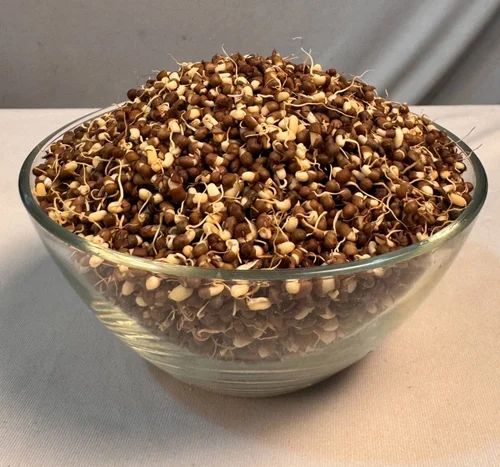 Dehydrated Matki Sprouts, 1 kg, High in Protein