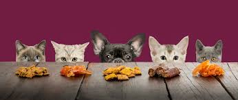 Pet Snacks