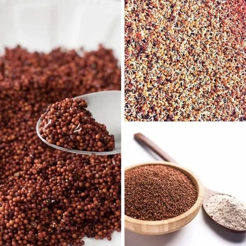 Sprouted Millet Flour