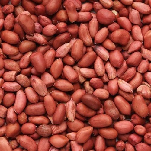 Groundnut Seeds Peanuts