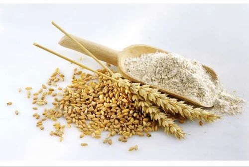 Bread Wheat Flour, Packaging Type: Loose