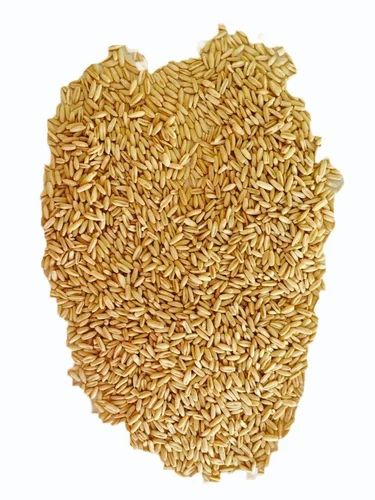 In stant Healthy Oats Gra in s, Packag in g Type: Packets, High in Prote in