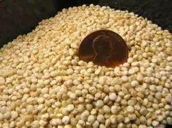 Quinoa Grain ., Packaging Size: 500 g