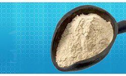 Full Fat Soya Flour (Enzyme Active)