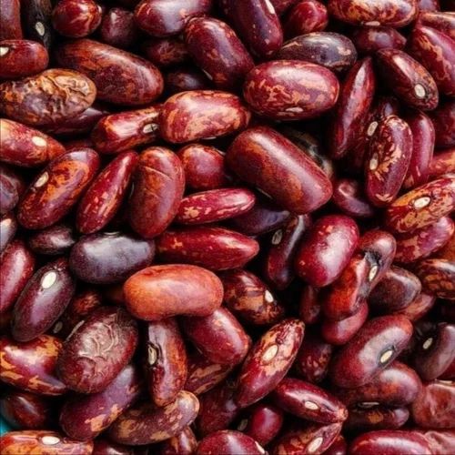 Dried Rajma Beans, Packaging Size: 50 kg, Red Kidney Bean