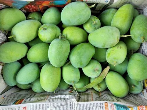 Kesar Mango