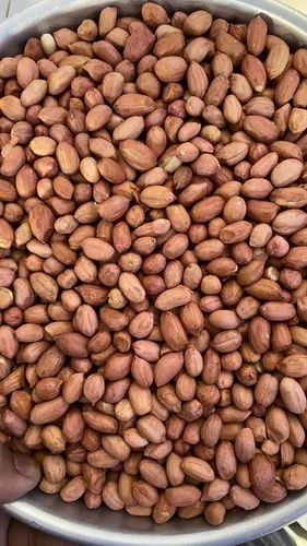 25 kg Groundnut Seeds