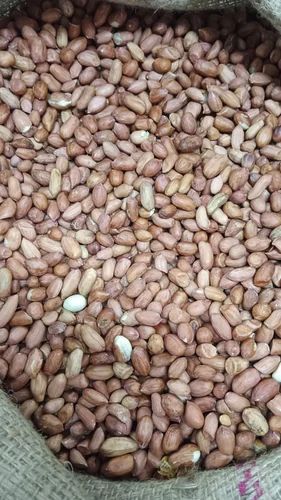 Natural Groundnut Seeds