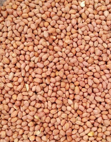 Organic Groundnut Seeds