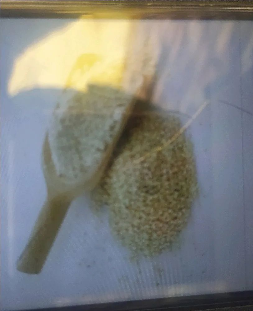 Quinoa Flour