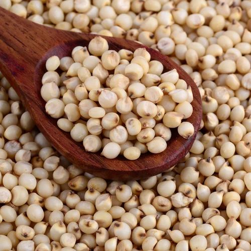 Organic Sorghum Millet