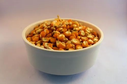 Indian Organic Maize Grain, Packaging Size: 25/50 kg