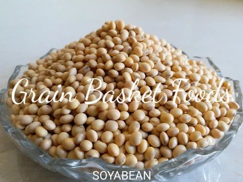 Non-GMO Soyabean, Whole Beans