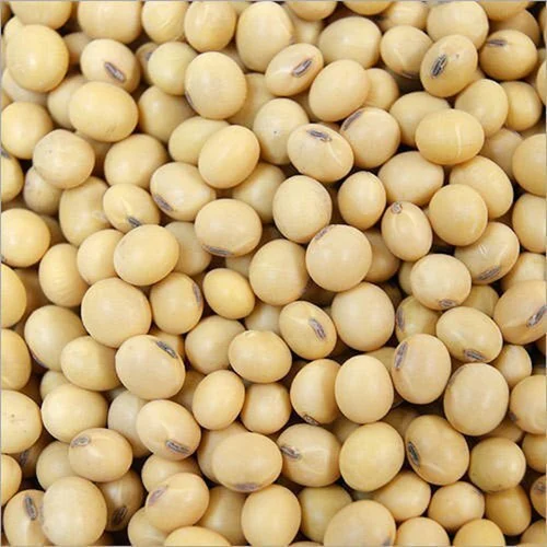 Non-GMO Premium Quality Whole Soy Bean