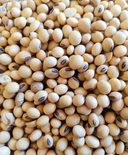 White Whole Soybean Dal