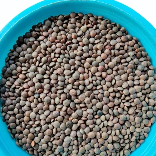 Black Whole Masoor Dal