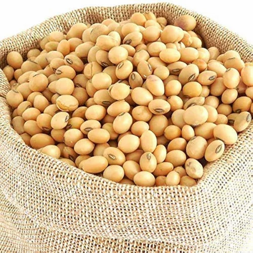 Yellow Soy Bean