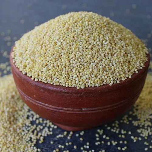 White Kutki Little Millet, Seeds, Packaging Size: Loose