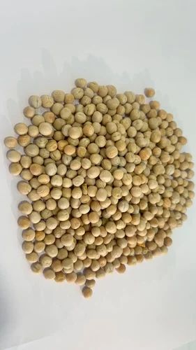 White Pea Beans