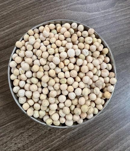 Organic White Pea Beans, Loose